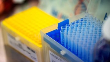 bingoplus pagcor legit